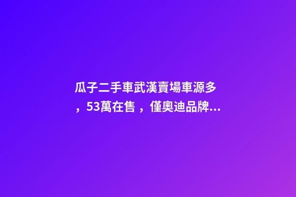 瓜子二手車武漢賣場車源多，5.3萬在售，僅奧迪品牌就有3000多輛